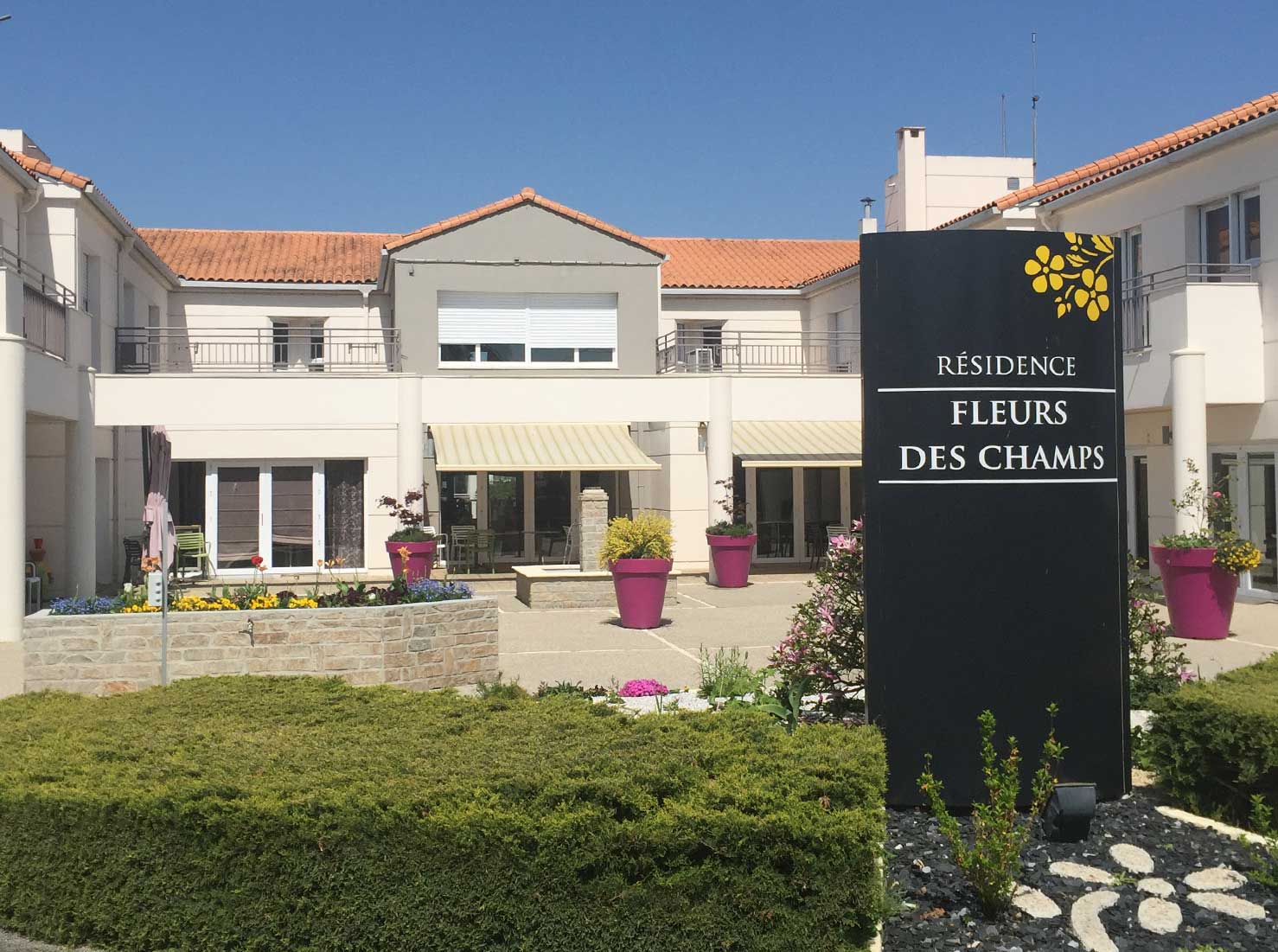 Fleurs des champs  Présentation